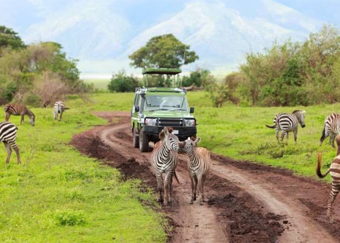 Serengeti National Park Safari Tours