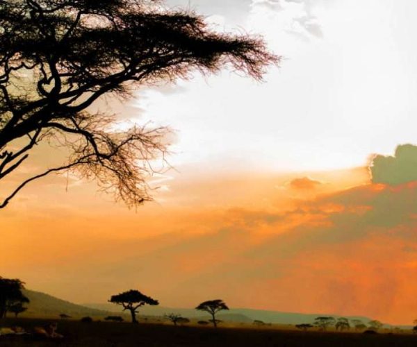 4 Days Ngorongoro Crater and Serengeti