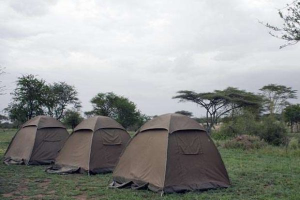 10 Days Southern Tanzania Budget Camping Safaris