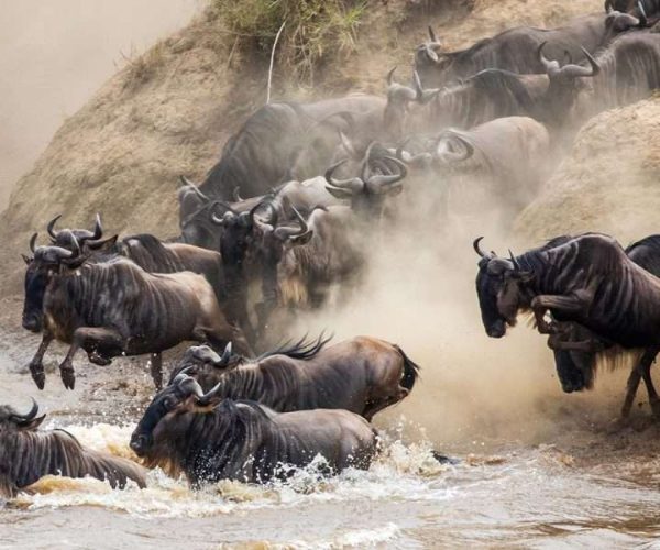 19 Days Northern & Southern Tanzania Safari