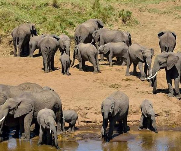 2 Days Tarangire National Park & Ngorongoro Crater