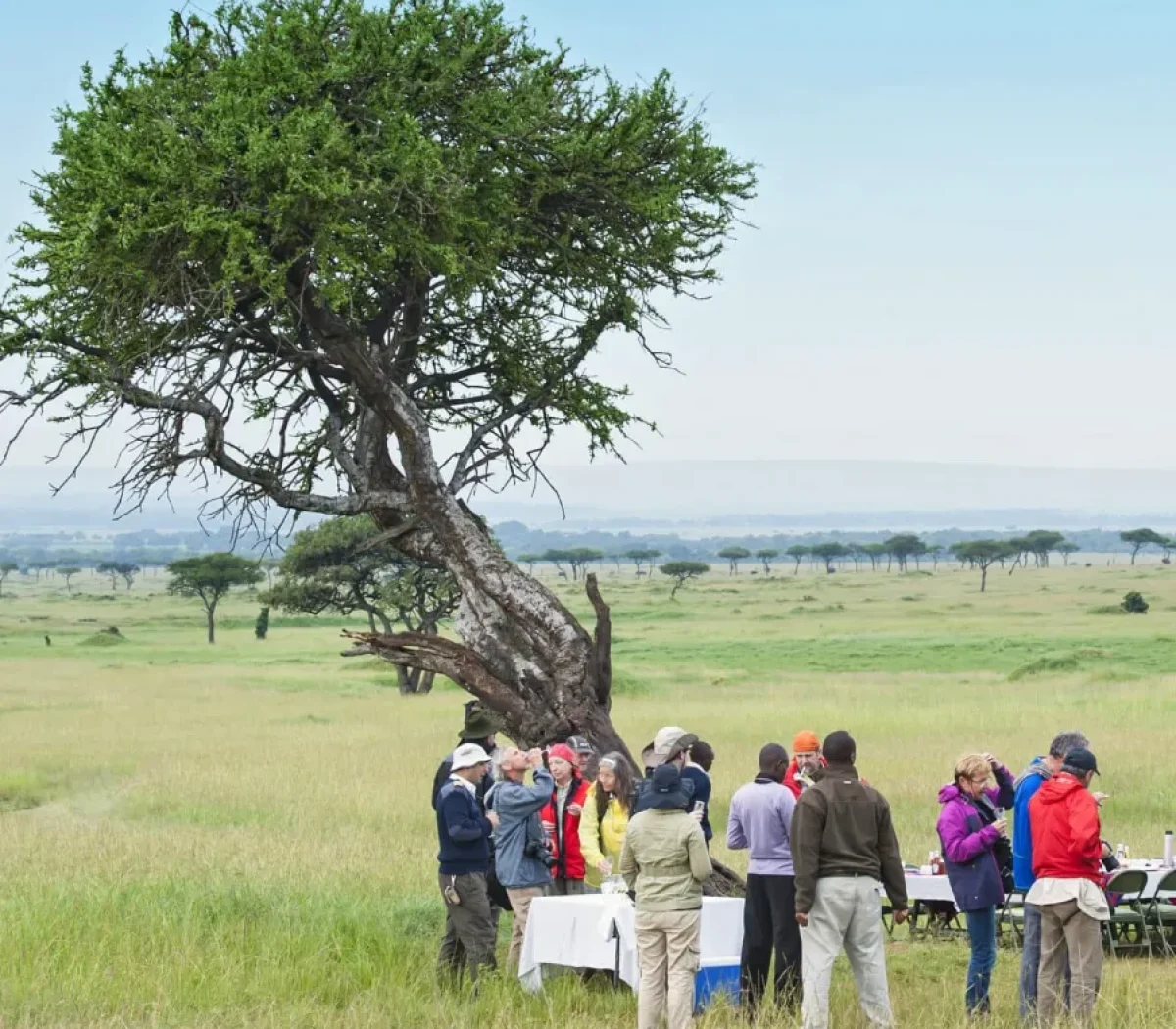 tarangire-national-park-3