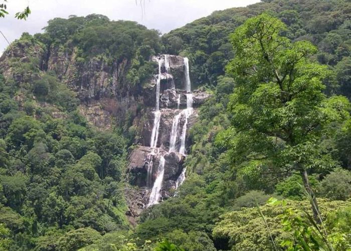 Udzugwa Mountain National Park