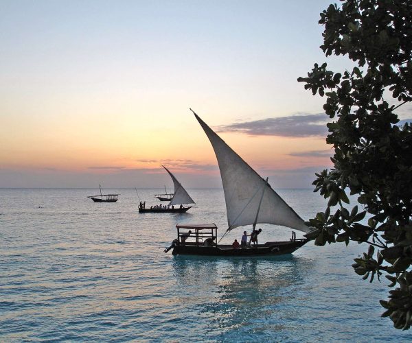 10 Days Tanzania Safari & Zanzibar